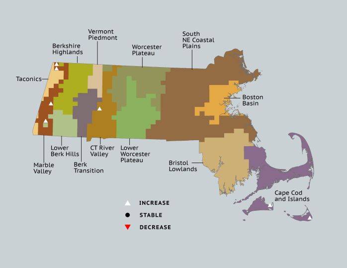 change map