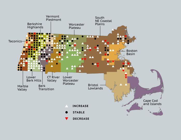 change map