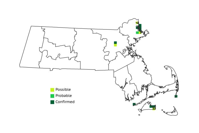 bba1 map