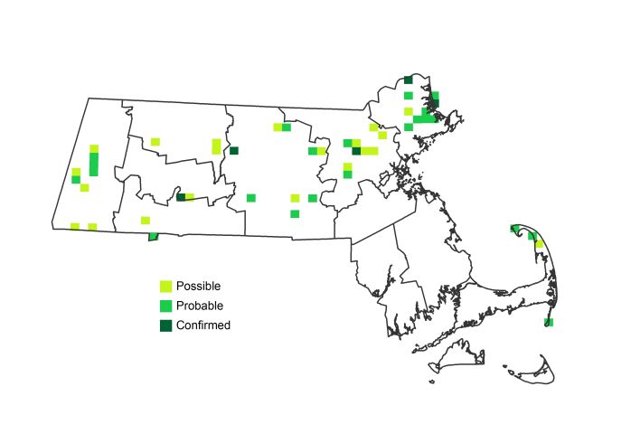 bba2 map